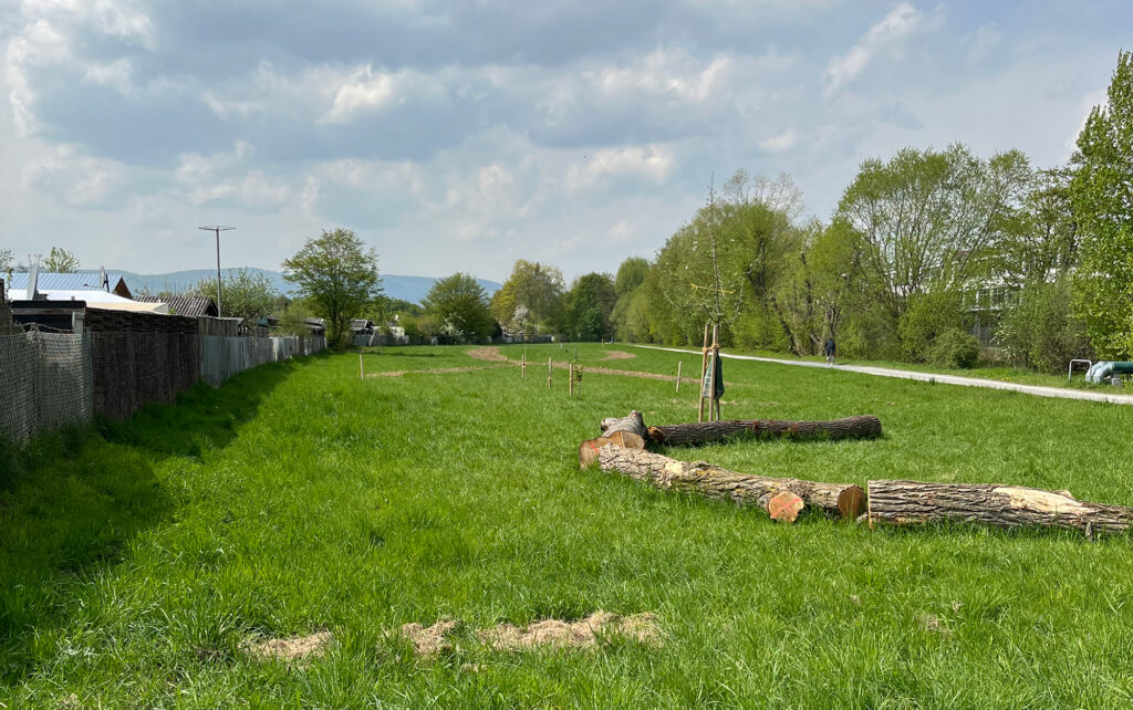 Kassel Wahlebachpark