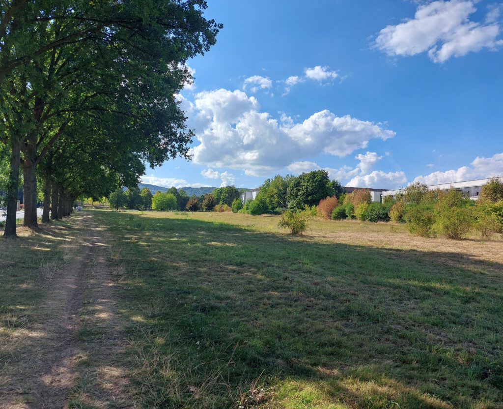 Kassel Helleböhnweg