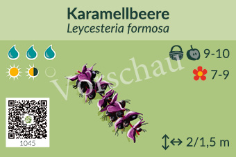 Karamellbeere