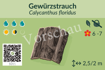 Gewürzstrauch