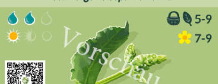 Beta vulgaris ssp. maritima