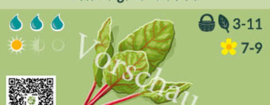 Beta vulgaris var. cicla