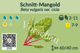 Schnitt-Mangold