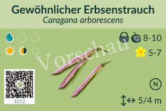 UrbaneWaldgaerten_Vorschau_Gehoelzschilder_10