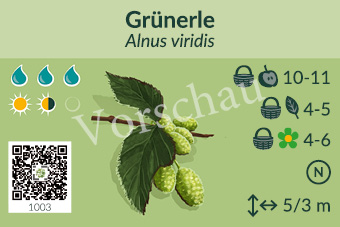 UrbaneWaldgaerten_Vorschau_Gehoelzschilder_2
