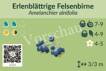 UrbaneWaldgaerten_Vorschau_Gehoelzschilder_3