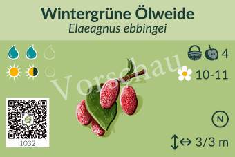 UrbaneWaldgaerten_Vorschau_Gehoelzschilder_30