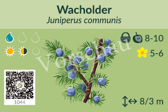 UrbaneWaldgaerten_Vorschau_Gehoelzschilder_42