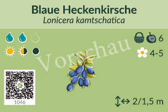UrbaneWaldgaerten_Vorschau_Gehoelzschilder_44