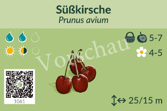 UrbaneWaldgaerten_Vorschau_Gehoelzschilder_58