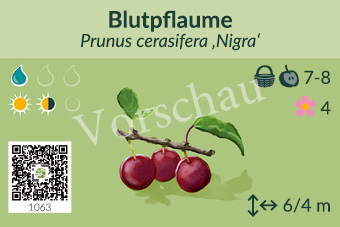 UrbaneWaldgaerten_Vorschau_Gehoelzschilder_60