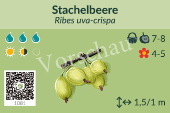 UrbaneWaldgaerten_Vorschau_Gehoelzschilder_78