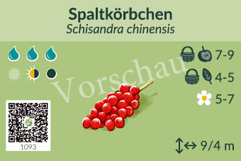 UrbaneWaldgaerten_Vorschau_Gehoelzschilder_88