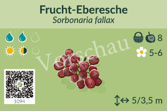 UrbaneWaldgaerten_Vorschau_Gehoelzschilder_89
