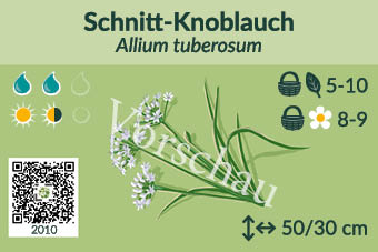 UrbaneWaldgaerten_Vorschau_Staudenschilder_10