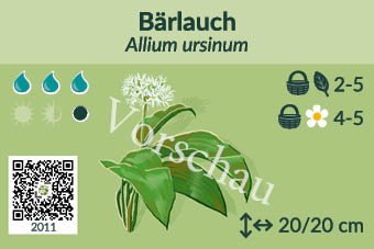 UrbaneWaldgaerten_Vorschau_Staudenschilder_11
