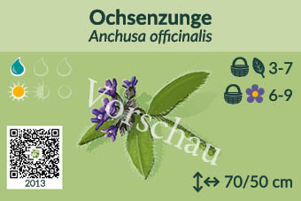 UrbaneWaldgaerten_Vorschau_Staudenschilder_13