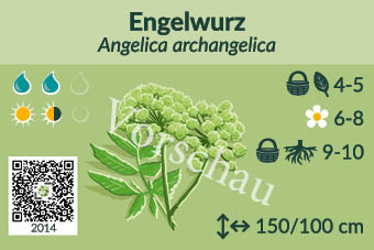 UrbaneWaldgaerten_Vorschau_Staudenschilder_14