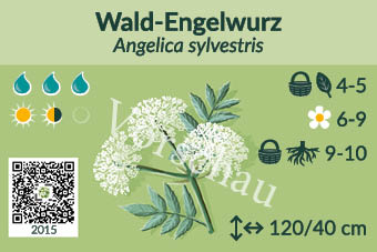 UrbaneWaldgaerten_Vorschau_Staudenschilder_15