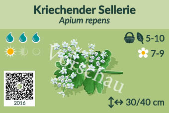 UrbaneWaldgaerten_Vorschau_Staudenschilder_16