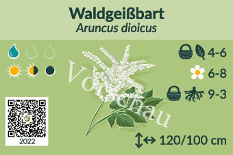 UrbaneWaldgaerten_Vorschau_Staudenschilder_22