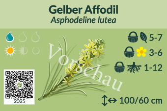 UrbaneWaldgaerten_Vorschau_Staudenschilder_25