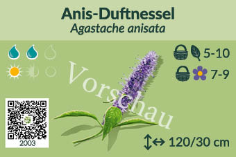 UrbaneWaldgaerten_Vorschau_Staudenschilder_3