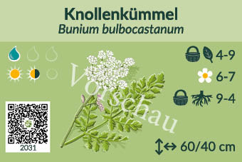 UrbaneWaldgaerten_Vorschau_Staudenschilder_31