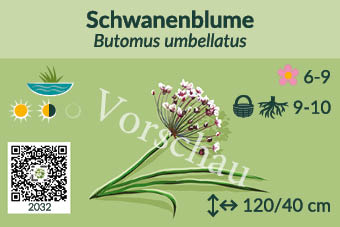 UrbaneWaldgaerten_Vorschau_Staudenschilder_32