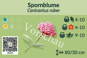 UrbaneWaldgaerten_Vorschau_Staudenschilder_34