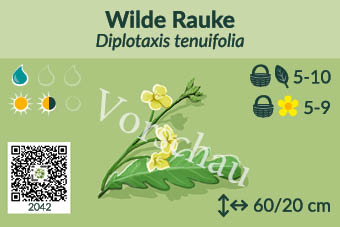 UrbaneWaldgaerten_Vorschau_Staudenschilder_42