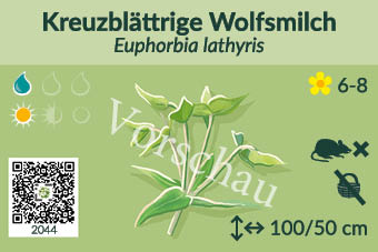 UrbaneWaldgaerten_Vorschau_Staudenschilder_44