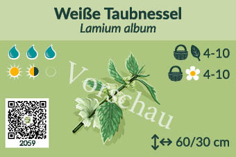 UrbaneWaldgaerten_Vorschau_Staudenschilder_59