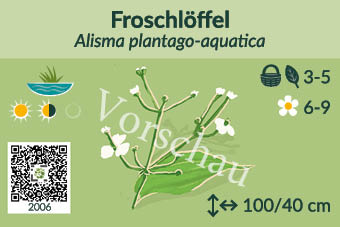 UrbaneWaldgaerten_Vorschau_Staudenschilder_6
