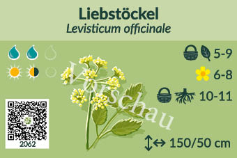 UrbaneWaldgaerten_Vorschau_Staudenschilder_62