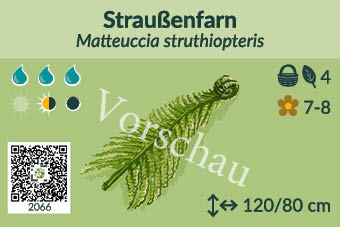 UrbaneWaldgaerten_Vorschau_Staudenschilder_66