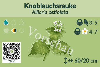 UrbaneWaldgaerten_Vorschau_Staudenschilder_7