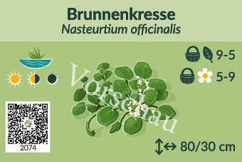 UrbaneWaldgaerten_Vorschau_Staudenschilder_74