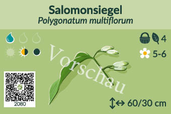 UrbaneWaldgaerten_Vorschau_Staudenschilder_80