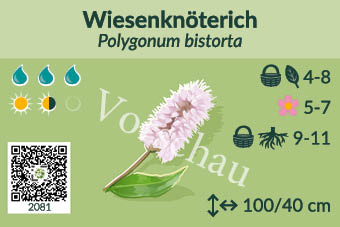 UrbaneWaldgaerten_Vorschau_Staudenschilder_81