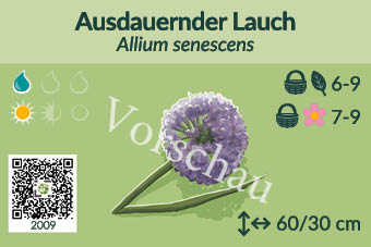 UrbaneWaldgaerten_Vorschau_Staudenschilder_9