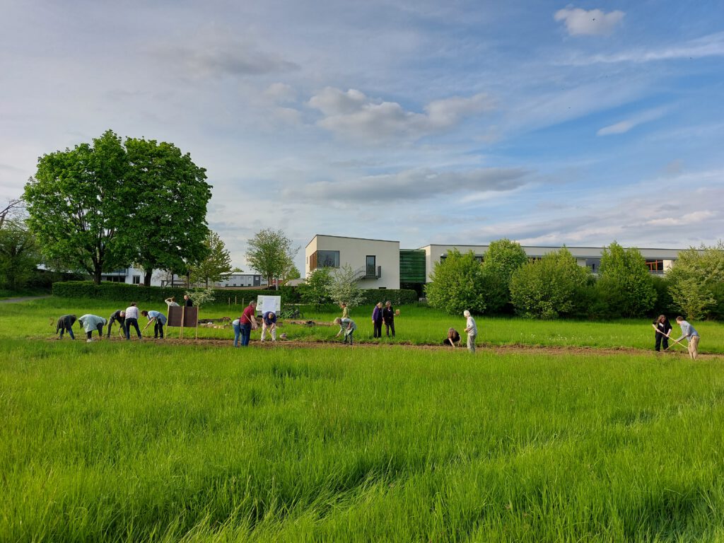 Kassel Helleböhnweg